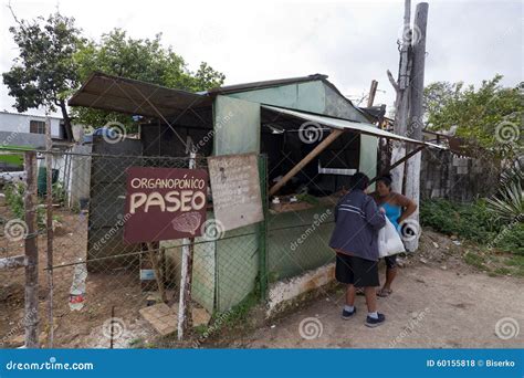 Havana, Cuba - Food Shortage Editorial Stock Photo - Image of classic, city: 60155818