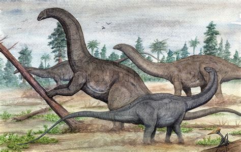 Apatosaurus. Art by Chris D | Dinosaur illustration, Prehistoric ...