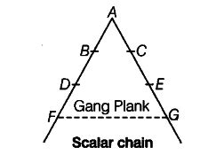 Explain in brief 'Gang Plank' introduced by Fayol - CBSE Class 12 Business Studies - Learn CBSE ...