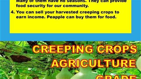 Creeping Crops //Agriculture Grade 6 - YouTube