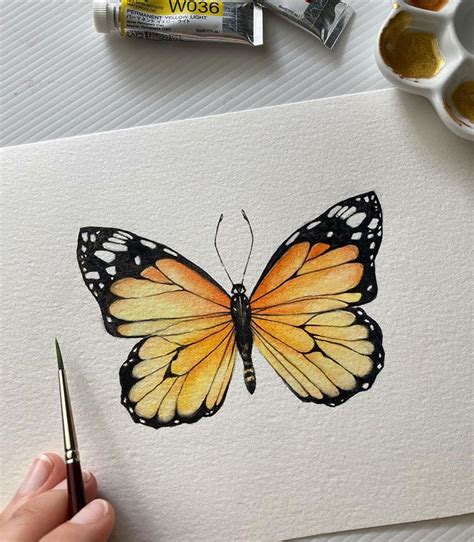 Beautiful Watercolor Butterfly Painting Ideas - Beautiful Dawn Designs | Butterfly art painting ...