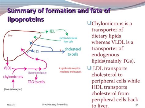 Lipoproteins- structure, classification, metabolism and clinical sign…