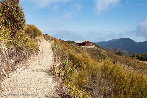 Paparoa Great Walk – New Zealand Landscapes