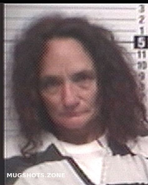 DOSS MICHELLE DAWN 11/19/2023 - Bay County Mugshots Zone