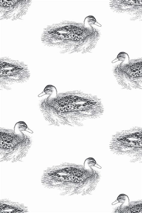 Realistic duck Wallpaper - Peel and Stick or Non-Pasted