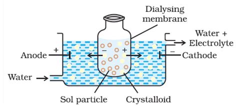 Methods of Preparation and Purification of Colloidal Solutions ...