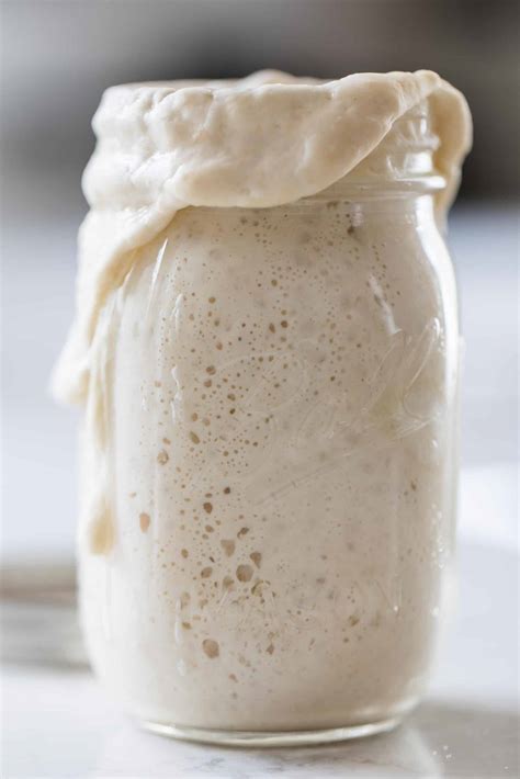 How to Make a Sourdough Starter - Farmhouse on Boone