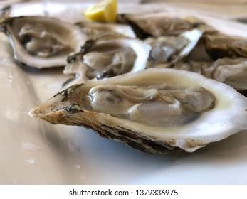 194 Blue point oysters Images, Stock Photos & Vectors | Shutterstock