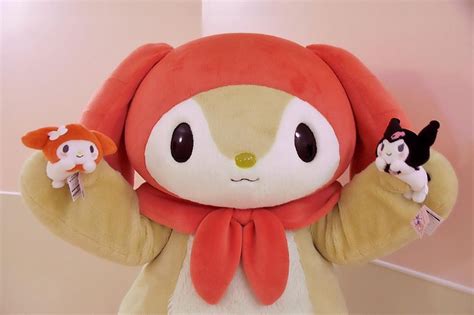 Little Forest Fellow | Sanrio characters, Sanrio, Unique costumes