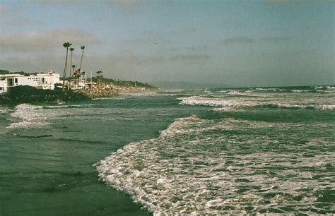 Dog Beach, San Diego, CA | San diego, Dog beach, Diego