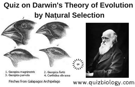 Quiz on Darwin's Theory of Evolution by Natural Selection