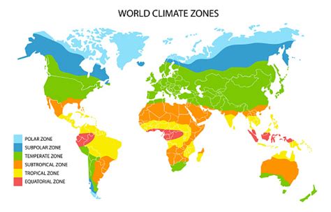 World Climate Zones Map Vector Geographic Infographics Stock Illustration - Download Image Now ...