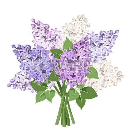 Lilac flower clipart - Clipground