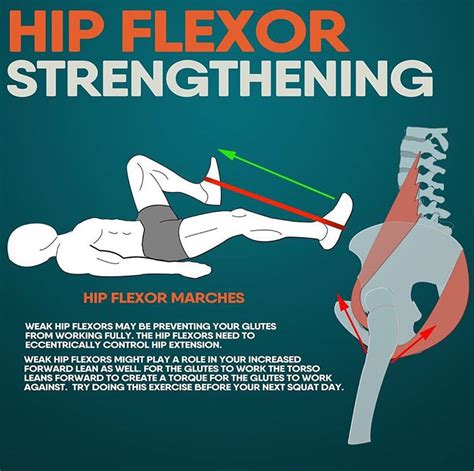 HIP FLEXOR STRENGTHENING | GUIDE