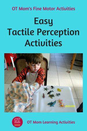 Tactile Perception Activities