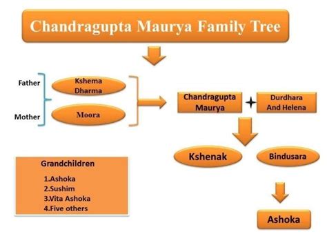 Maurya dynasty family tree - Brainly.in