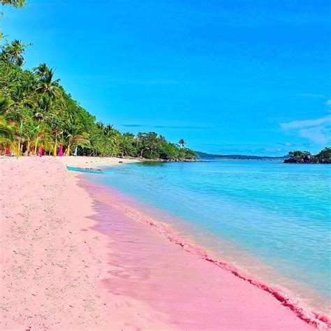 Pink sand beach philippines - Nupics.pro