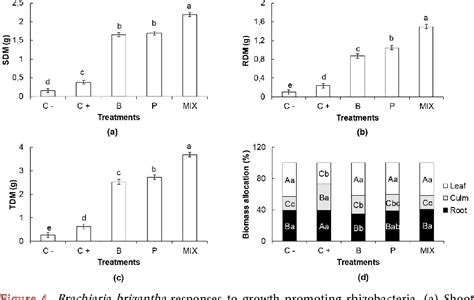 Figure 4 from Effect of Pseudomonas fluorescens and Burkholderia pyrrocinia on the growth ...
