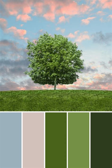 Tree Color Palettes - This Growing Home | Summer color palette, Palette, Winter color palette