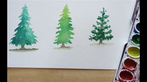 Watercolor Evergreen Trees at PaintingValley.com | Explore collection ...