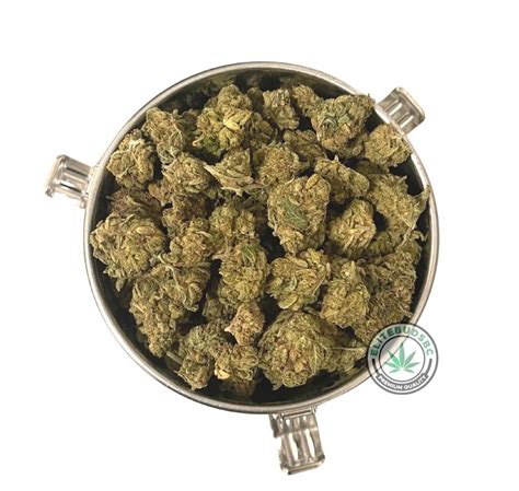 Buy OG KUSH SMALLS Online | Elite Buds BC