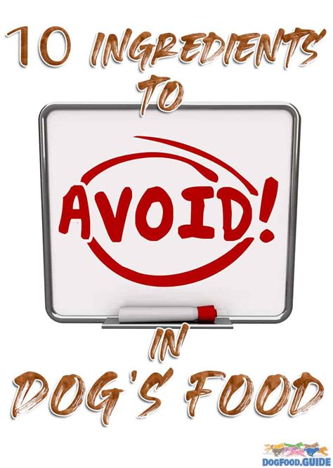 10 Ingredients to Avoid in Dog Food: Feed Your Pet Right!