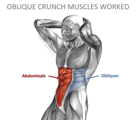 7 Ways To Do Oblique Crunches For A Shredded Midsection