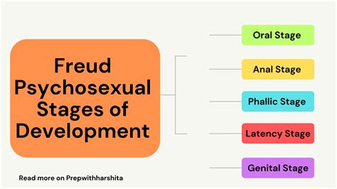 Freud's Stages Of Human Development: Psychosexual Stages, 45% OFF