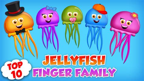 JellyFish Finger Family Collection | Top 10 Finger Family Songs - YouTube