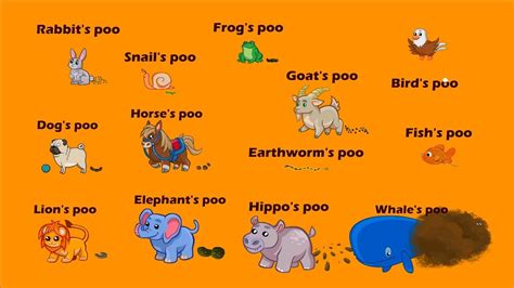 [Funny Picture Card] Animal's funny poo~ / What shape are animal poop ...