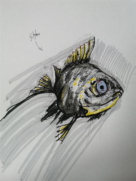 A fat fish!! : r/drawing