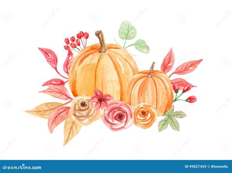 Watercolor Pumpkins Flowers Hand Painted Fall Autumn Bouquet Stock ...