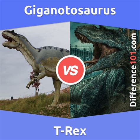 Giganotosaurus vs. T-Rex: Understanding the Differences