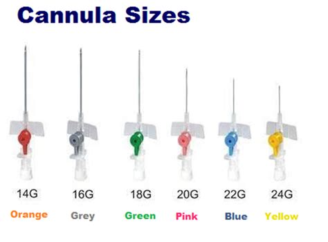 IV CATHETER GAUGE NEEDLE (ABBOCATH) | by Lumen Scientiae | Medium