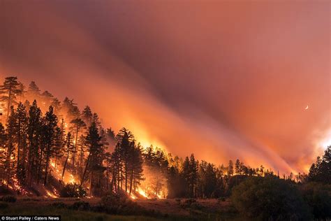 Photographer Stuart Palley's images capture the beauty of California's ...