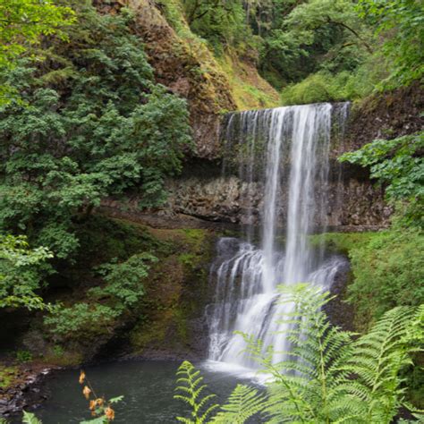 13 Top State Parks Oregon You Didn't Know Existed