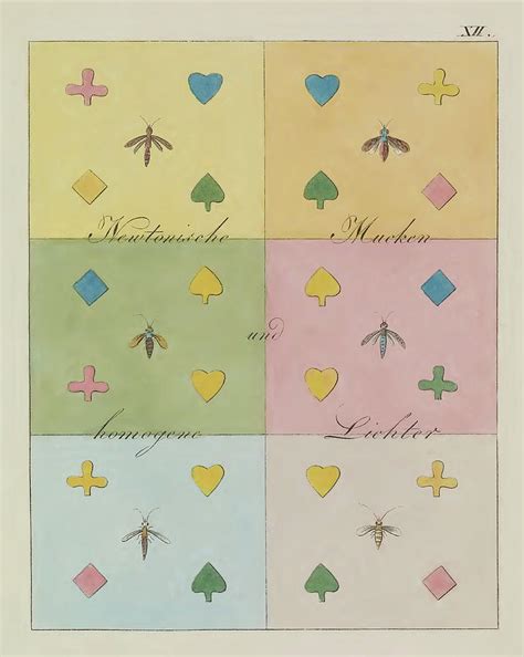 Johann Von Goethe, Theory Of Colors Photograph by Science Source - Fine ...