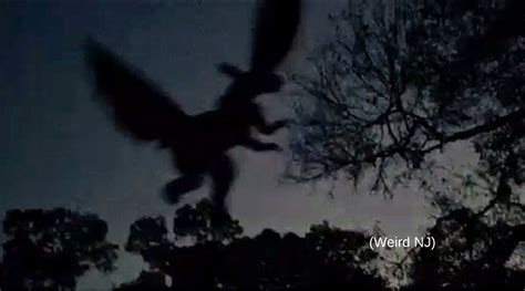 NJ resident says he has photo evidence of Jersey Devil | PIX11