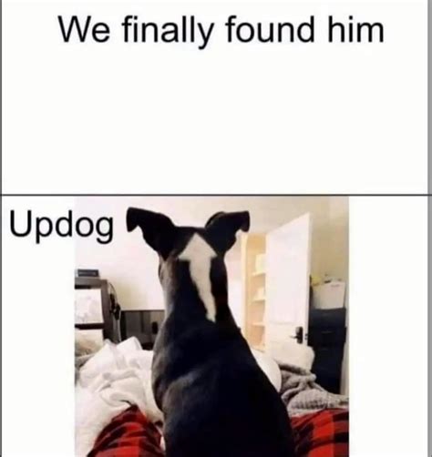 What's updog? - Meme by Seekthetruth :) Memedroid