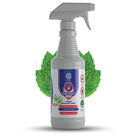 Best Spider Repellent Spray On The Market Today - Spicer Castle