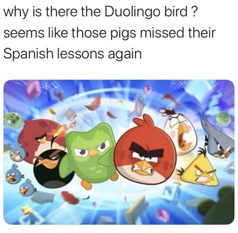 help mee it‘s the Duolingo bird : r/memes