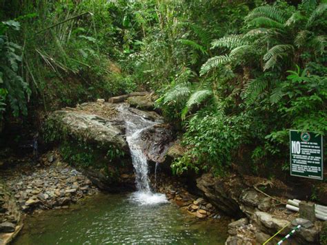 Asa Wright Nature Centre | Eastern caribbean cruises, Western caribbean cruise, Trinidad