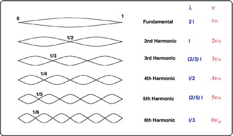 Vibrational modes of a plucked string of length l. The wavelengths and... | Download Scientific ...