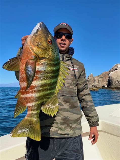 Los Barriles Fishing Report May 26, 2019 - LOS BARRILES SPORTFISHING Current Fish Report for the ...