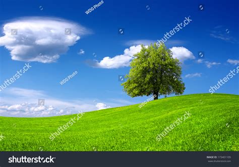 Nature Green Landscape Stock Photo 173401109 : Shutterstock