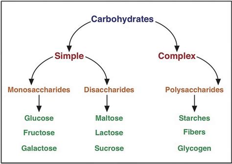 The BioLogs: CAPE 1: carbohydrates