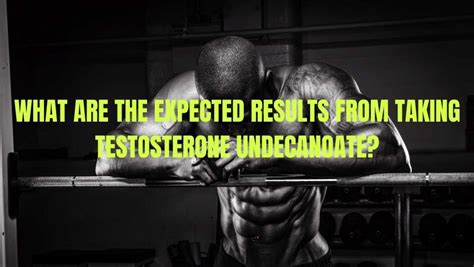 Testosterone Undecanoate Compound: What Exactly is it, Expected Results, and Cycle Information ...