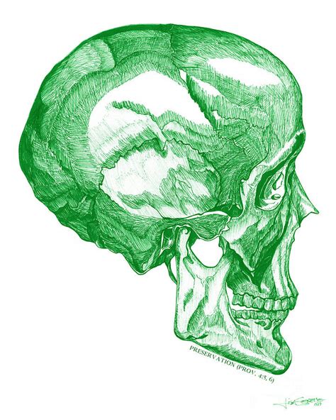 Preservation-Green Skull Drawing by Lisa Senette - Fine Art America