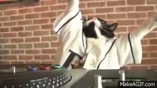 Dj Cat Gif