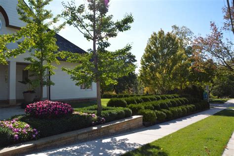 Landscaping Boxwood Shrubs — Randolph Indoor and Outdoor Design